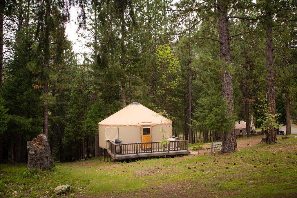 Yosemite Lakes Hillside Yurt 1 Harden Flat Buitenkant foto